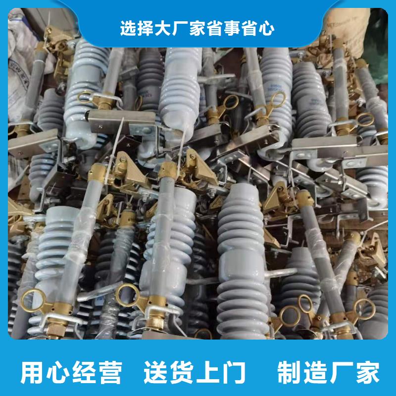 跌落式熔断器-FKN12-12/630A实体厂家支持定制