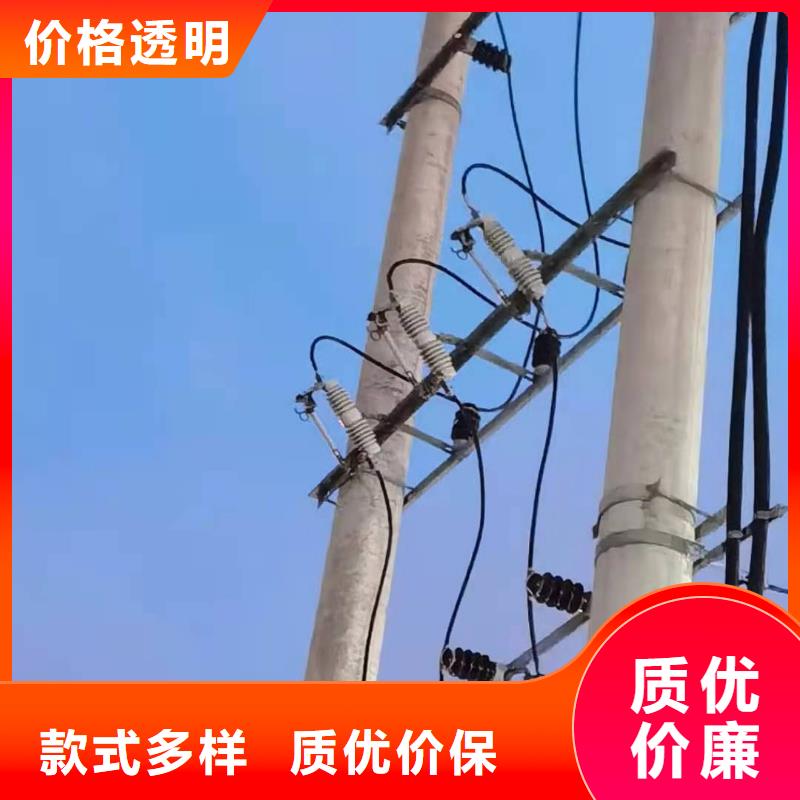 跌落式熔断器-FKN12-12/630A实体厂家支持定制