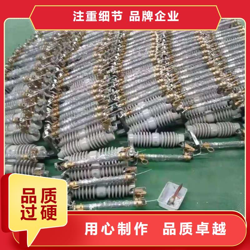 跌落式熔断器-FKN12-12/630A实体厂家支持定制