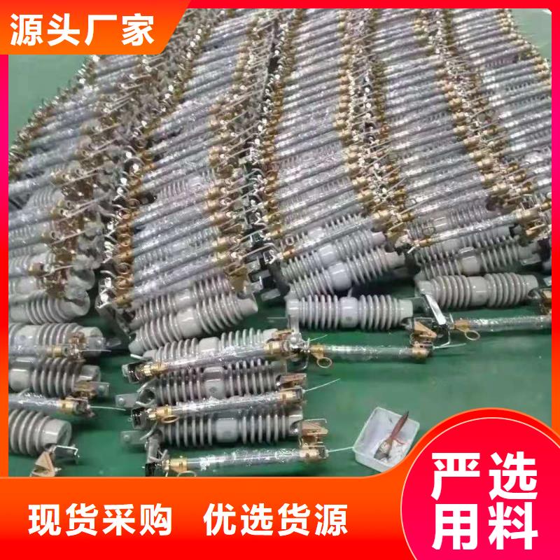 跌落式熔断器-FKN12-12/630A实体厂家支持定制