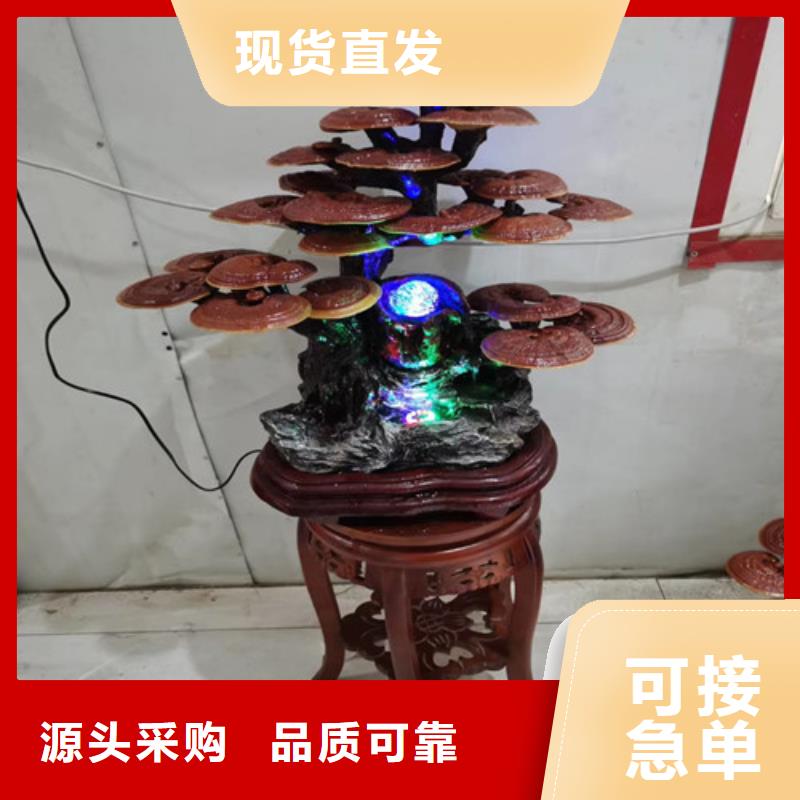 赤灵芝全国发货