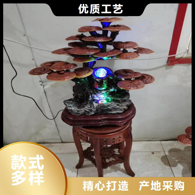 灵芝基地哪里找到