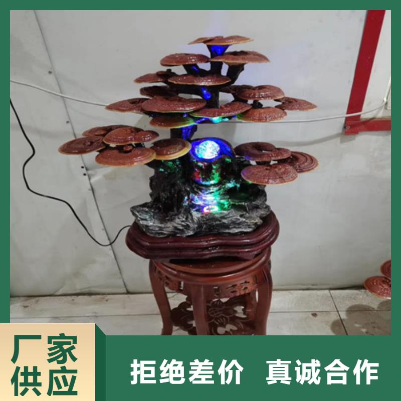 赤灵芝的功效与作用靠谱厂家