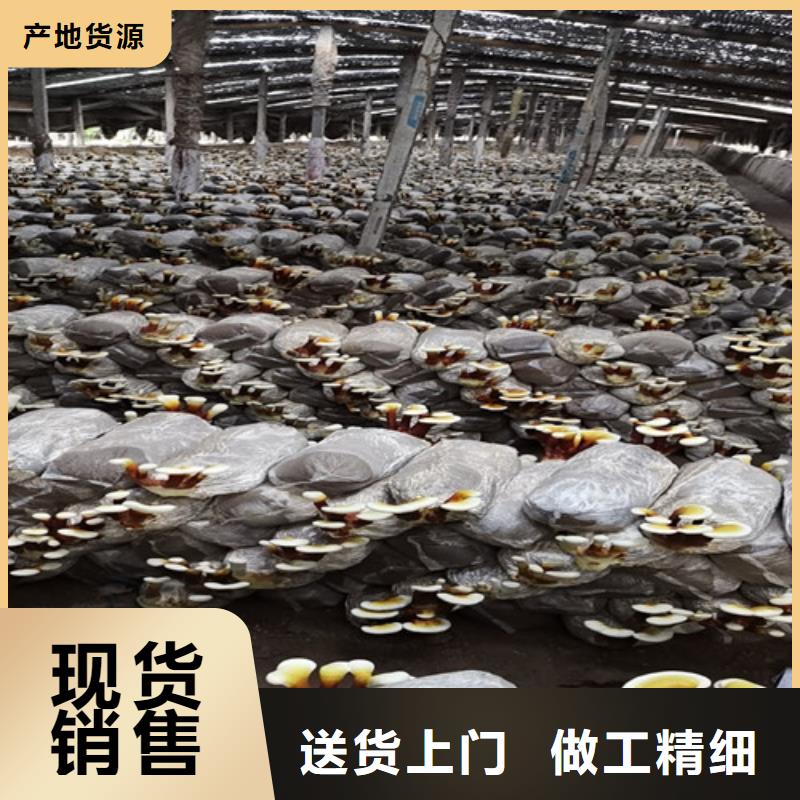 生产3克装孢子粉的生产厂家