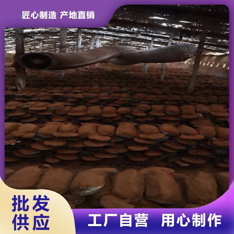 生产3克装孢子粉的生产厂家