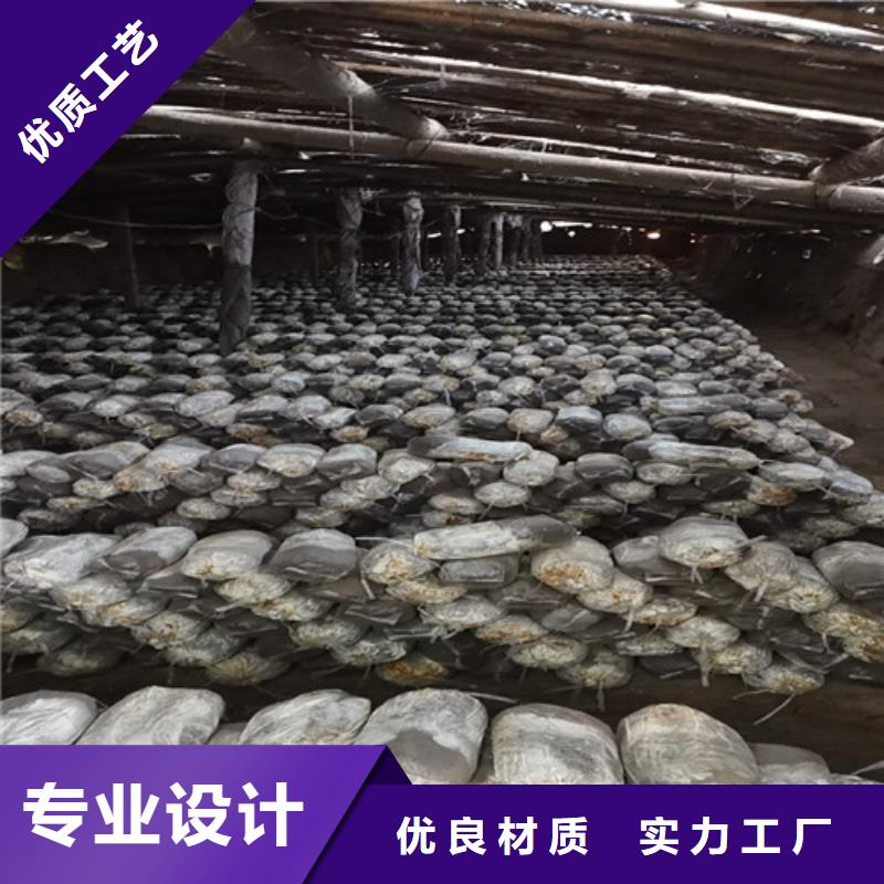 灵芝孢子油-多年经验造就好品质