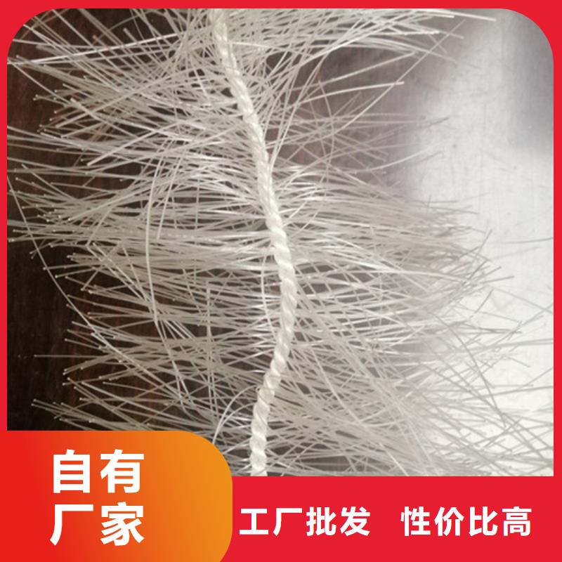 弹性填料_【活性炭】敢与同行比质量