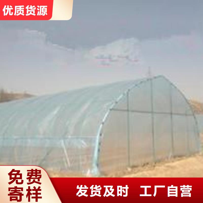 大棚管方矩管48小时发货