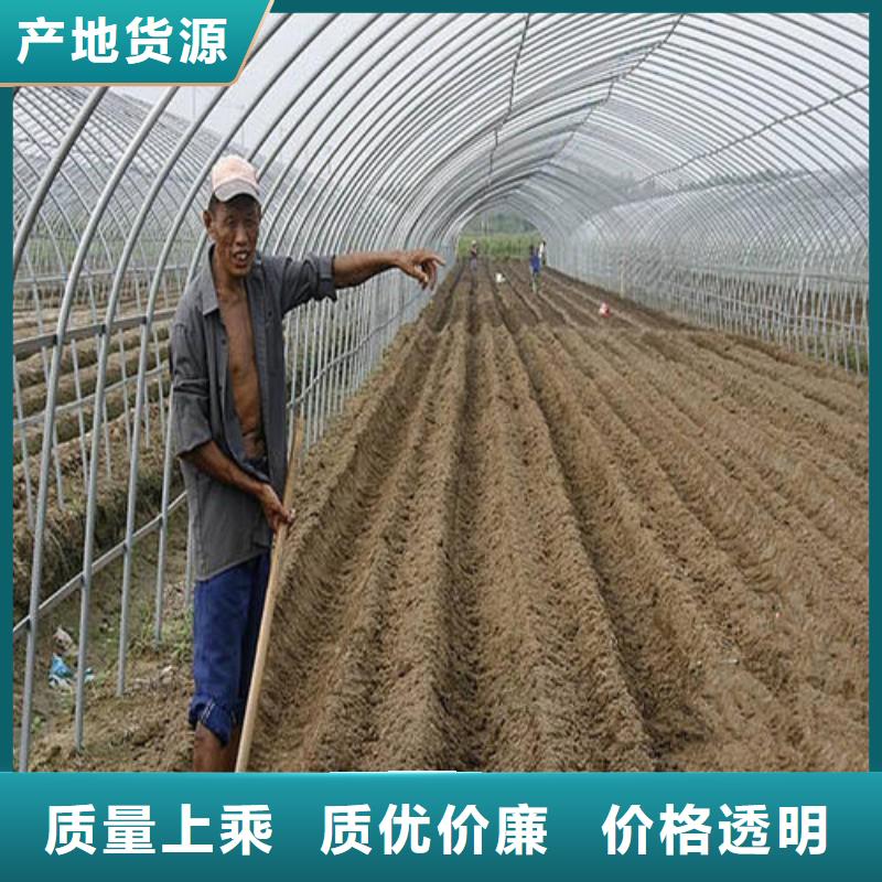 大棚管方矩管48小时发货