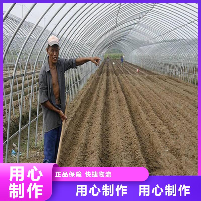 大棚管方矩管48小时发货