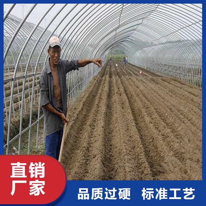 大棚管方矩管48小时发货