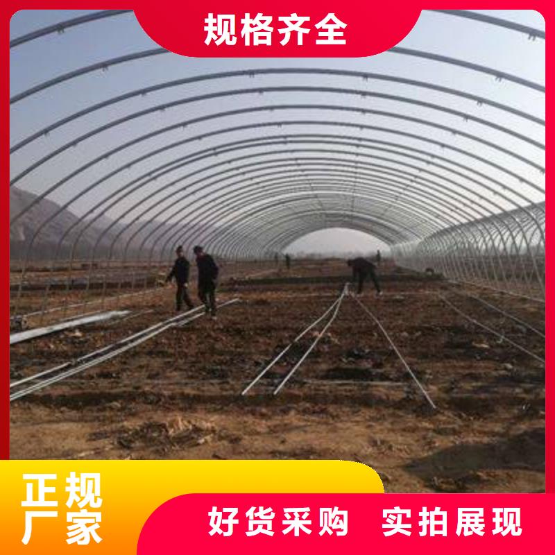 大棚管温室大棚管质量安心