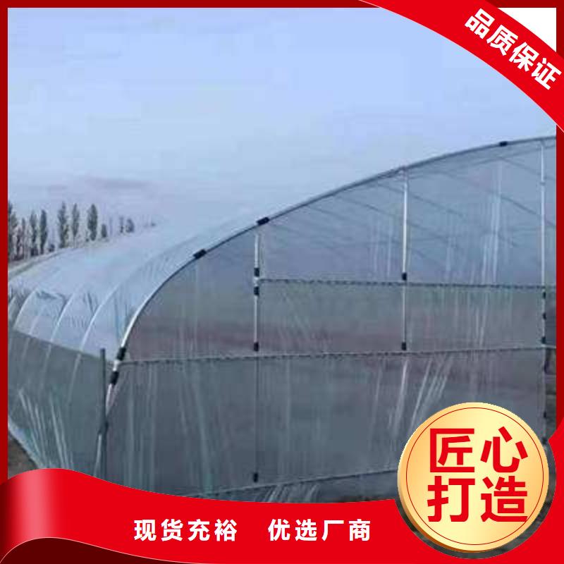 大棚管温室大棚管质量安心