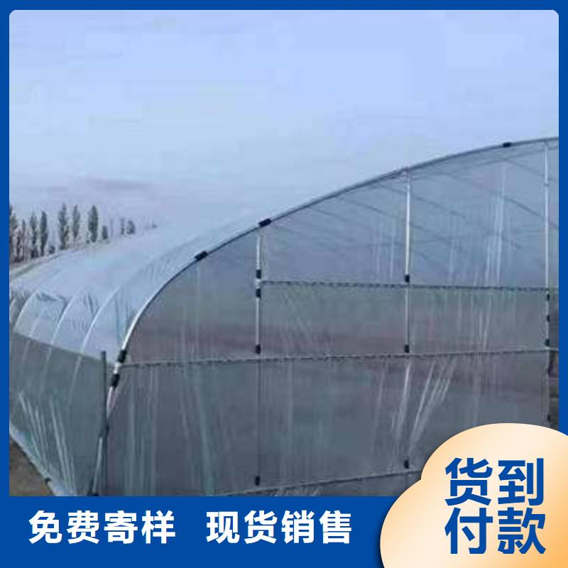 大棚管温室大棚管质量安心