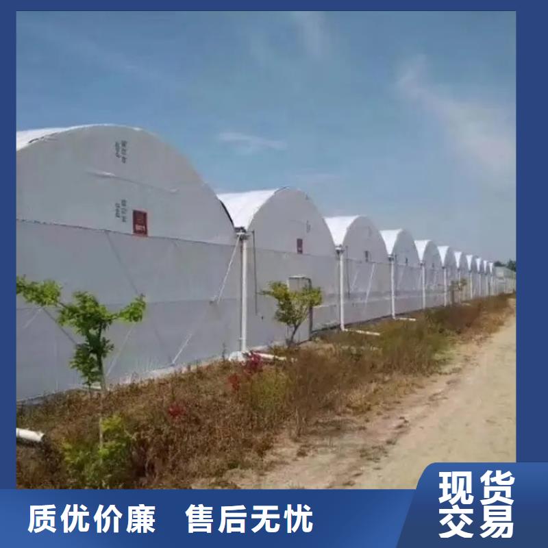 大棚管温室大棚管质量安心