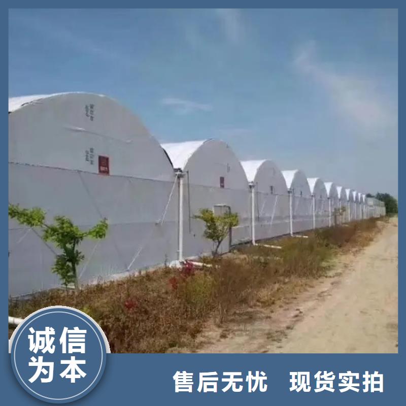 大棚管温室大棚管质量安心