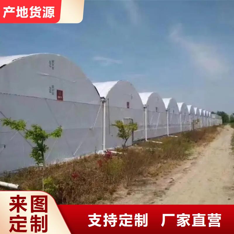 大棚管温室大棚管质量安心