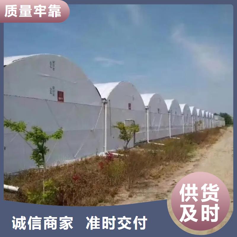 大棚管温室大棚管质量安心
