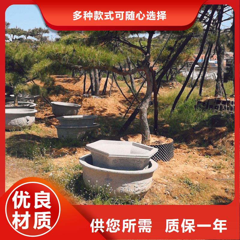 造型松迎客松专注品质