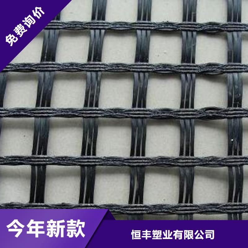 玻纤土工格栅塑料土工滤网现货充足量大优惠