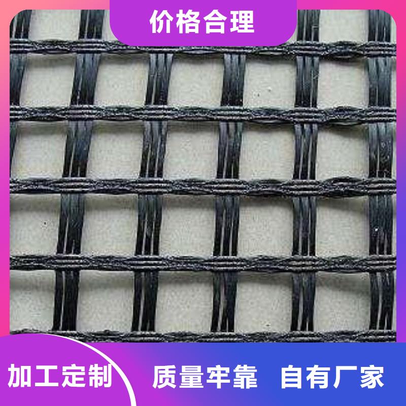 玻纤土工格栅塑料土工滤网现货充足量大优惠