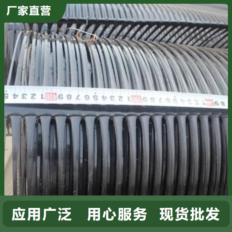 单向塑料土工格栅 三维植被网为您精心挑选