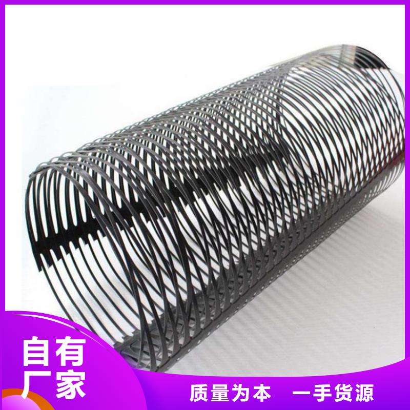 单向塑料土工格栅 三维植被网为您精心挑选