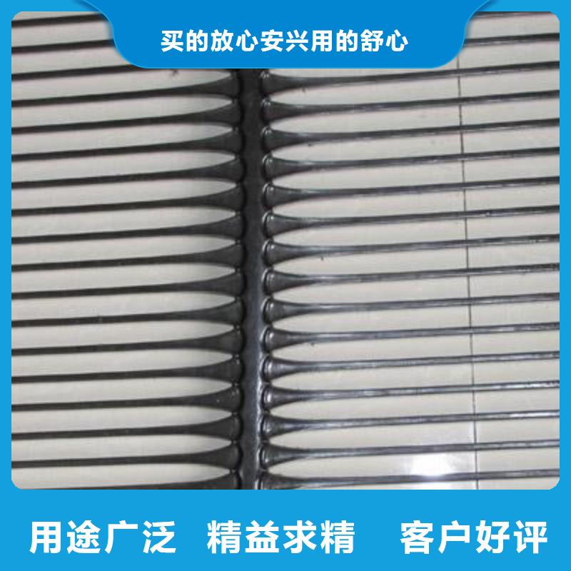 单向塑料土工格栅 三维植被网为您精心挑选