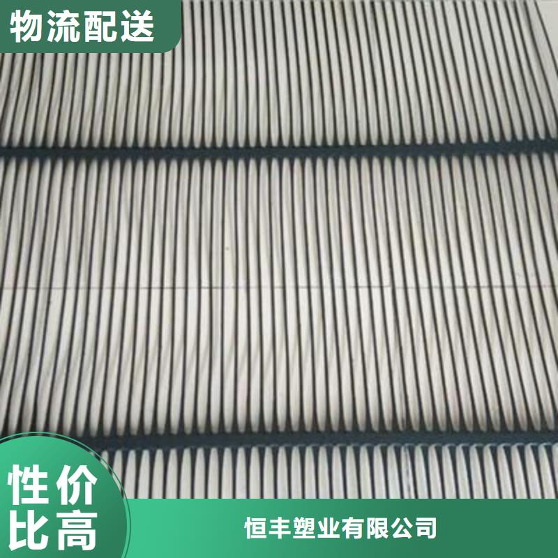 单向塑料土工格栅 三维植被网为您精心挑选