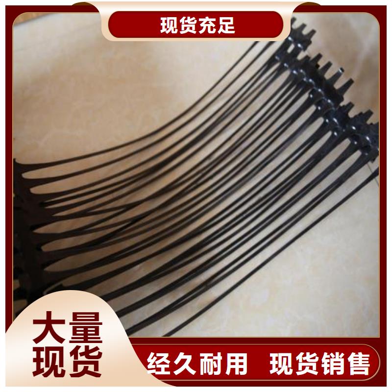 单向塑料土工格栅 三维植被网为您精心挑选