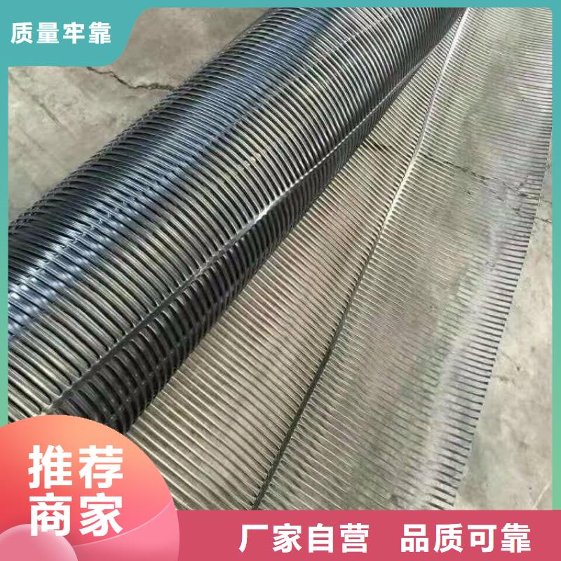 单向塑料土工格栅 三维植被网为您精心挑选