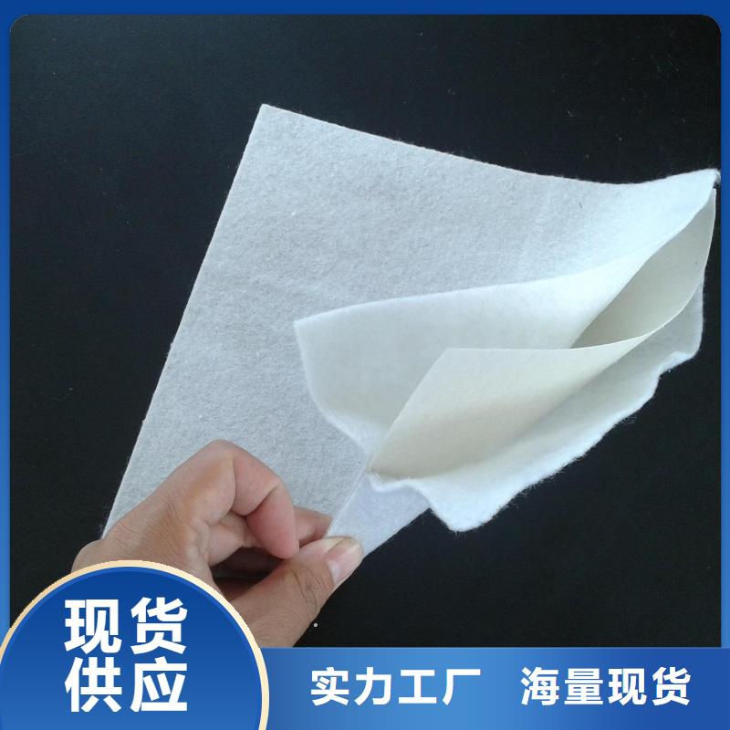 复合土工膜双向塑料土工格栅厂家直销放心
