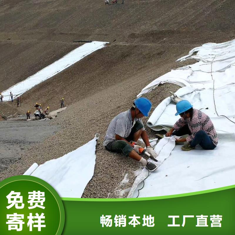 复合土工膜双向塑料土工格栅厂家直销放心