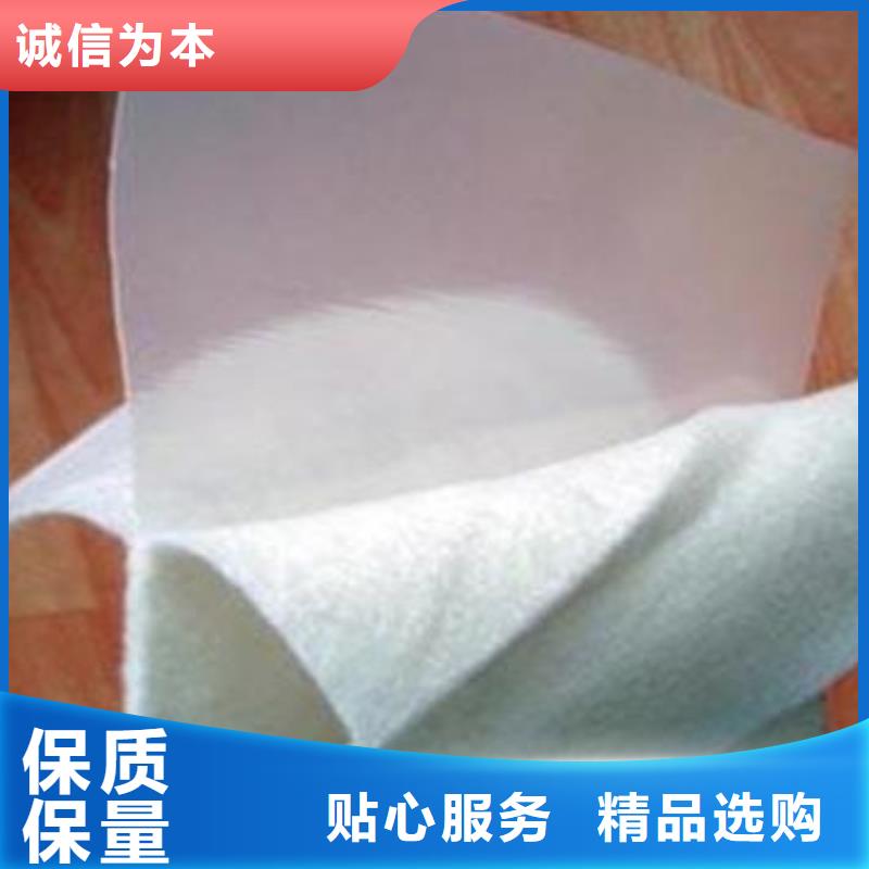 复合土工膜双向塑料土工格栅厂家直销放心