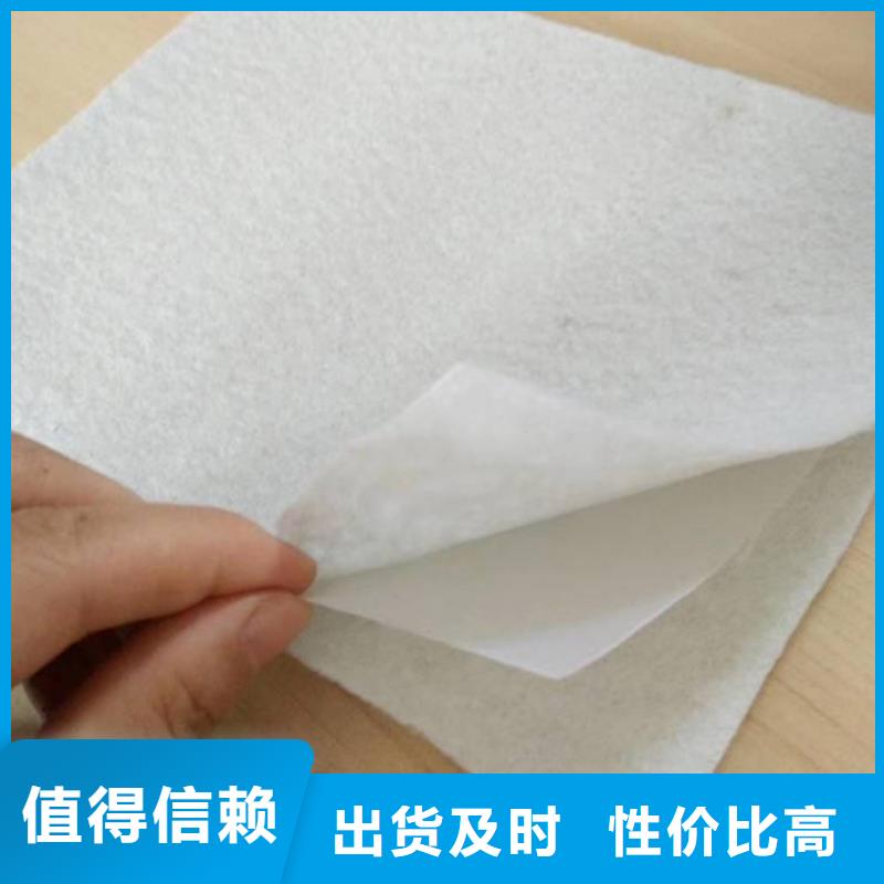 复合土工膜双向塑料土工格栅厂家直销放心