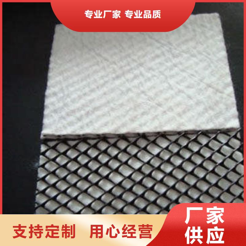 三维复合排水网 软式透水管真诚合作