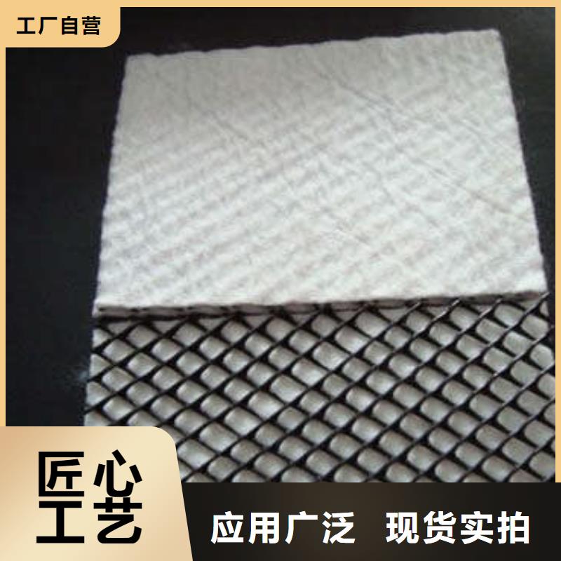 三维复合排水网 软式透水管真诚合作