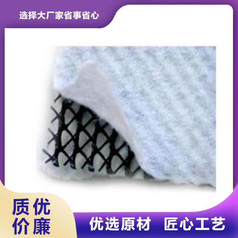 三维复合排水网 软式透水管真诚合作