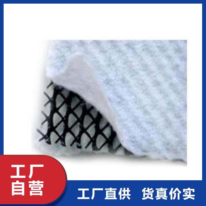 三维复合排水网 软式透水管真诚合作