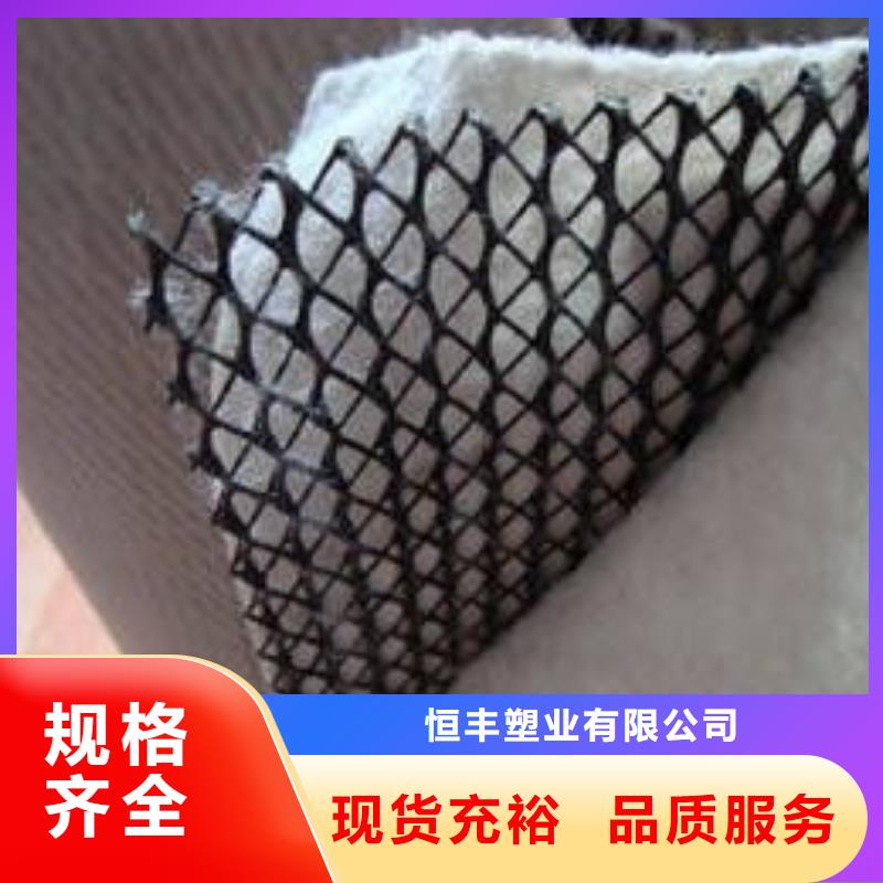 三维复合排水网 软式透水管真诚合作