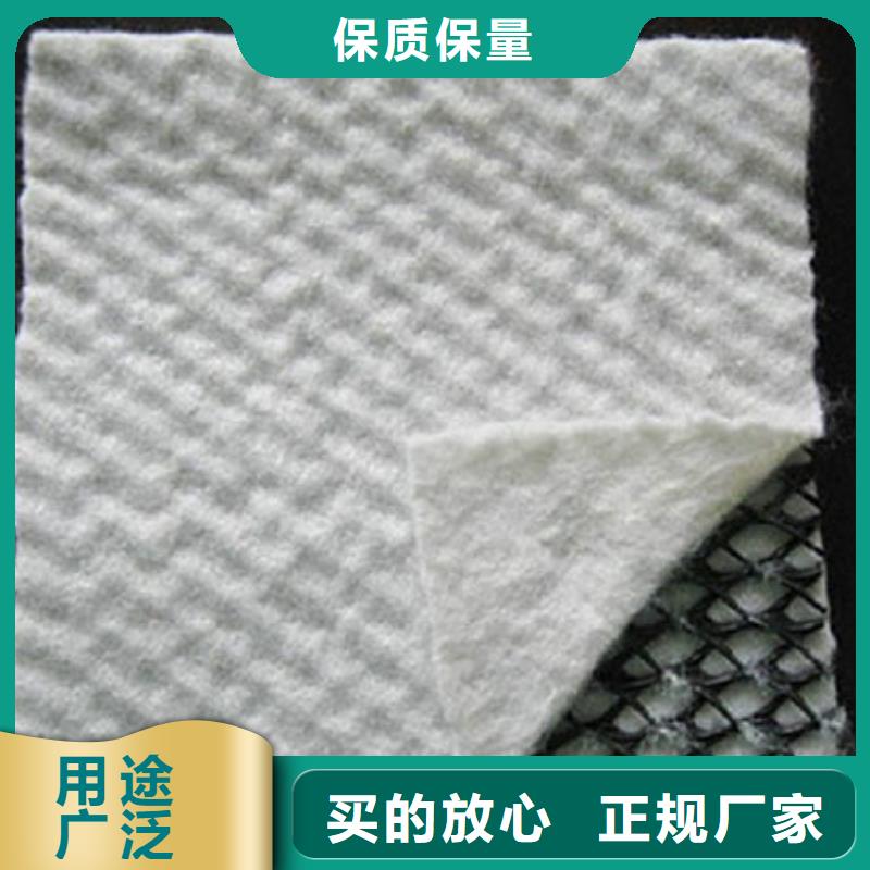 三维复合排水网 软式透水管真诚合作