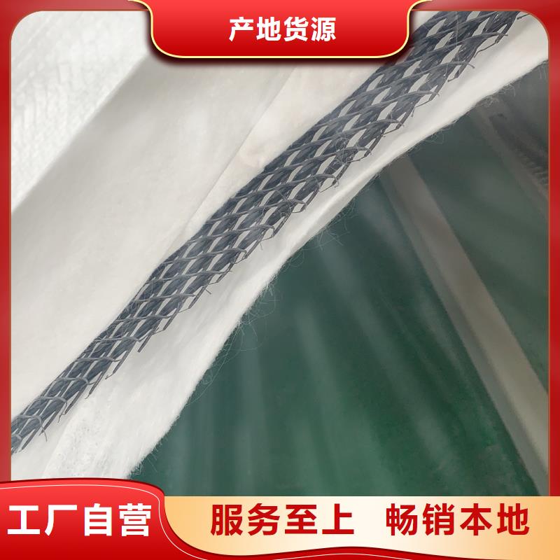 三维复合排水网 软式透水管真诚合作