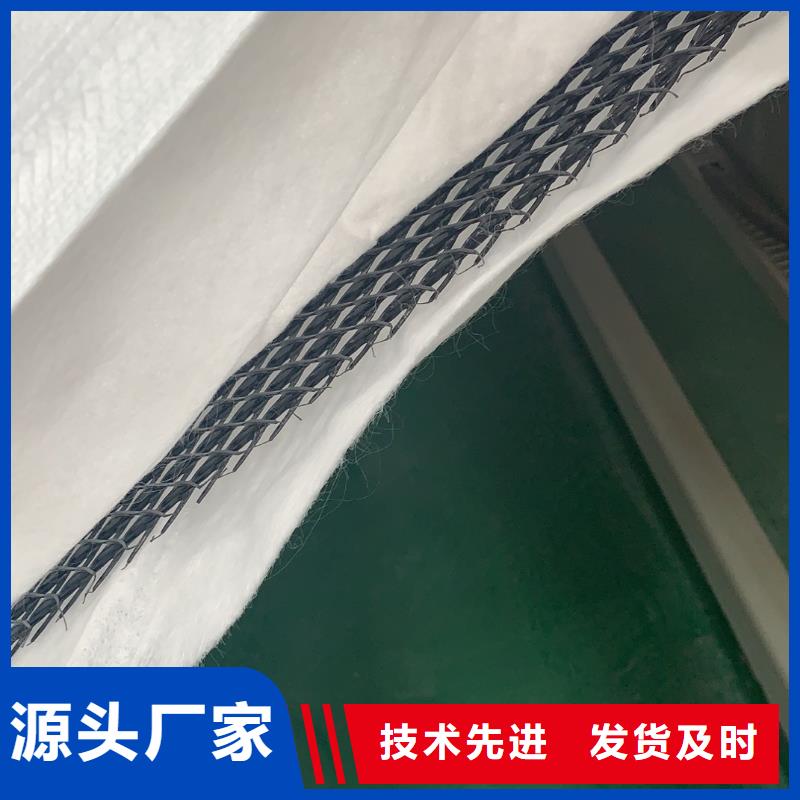 三维复合排水网 软式透水管真诚合作