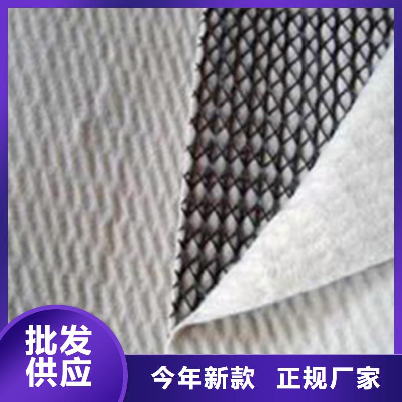三维复合排水网 软式透水管真诚合作