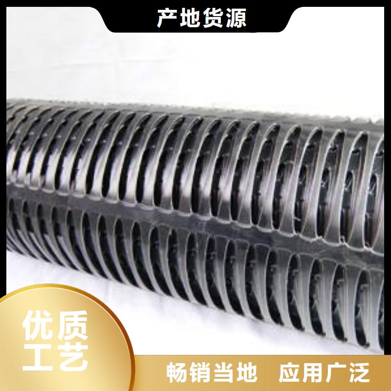 双向塑料土工格栅三维土工网垫厂家实力雄厚