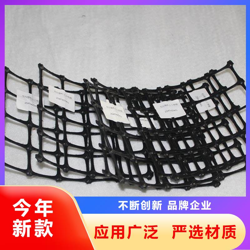 双向塑料土工格栅三维土工网垫厂家实力雄厚