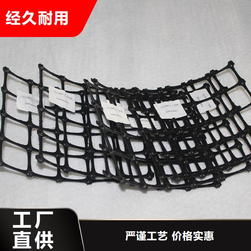 双向塑料土工格栅三维土工网垫厂家实力雄厚