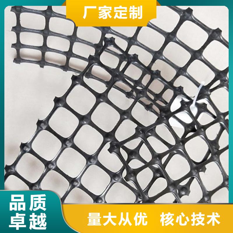 双向塑料土工格栅三维土工网垫厂家实力雄厚