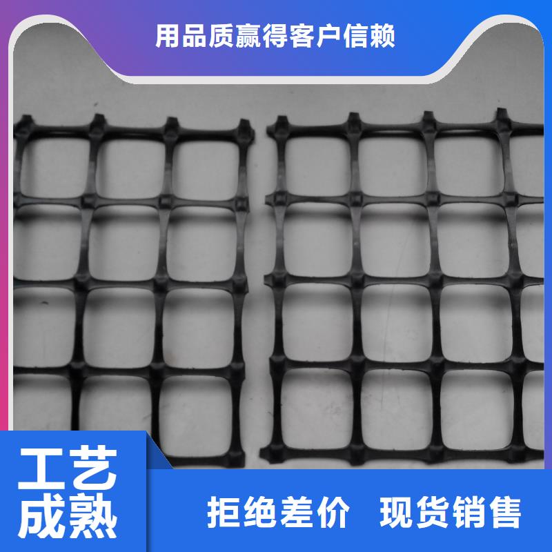 双向塑料土工格栅三维土工网垫厂家实力雄厚
