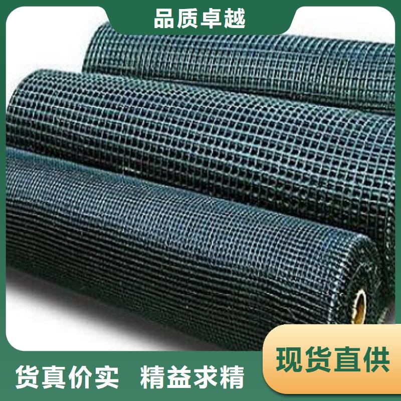 玻纤土工格栅膨润土防水垫实力厂家